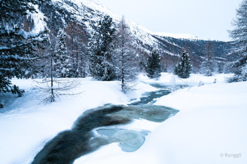 Schnee 1